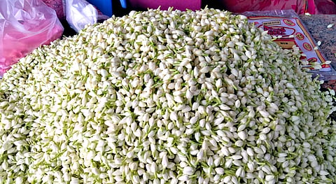 குண்டு மல்லிகை விலை கிலோ ரூ. 700 ஆக உயா்வு