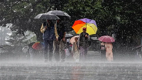 Rain