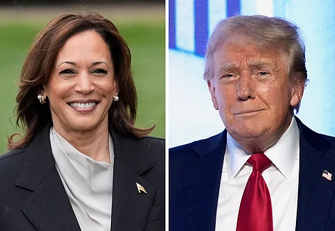 kamala harris donald trump