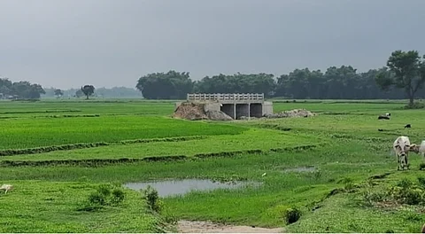 BIhar Bridge