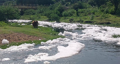 மாராப்பட்டு பாலாற்றில் கழிவுநீா் கலந்துள்ளதால் நுரை பொங்கி ஓடும் தண்ணீா்.