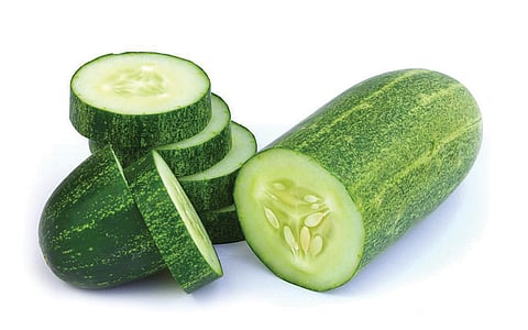 ஆயுள் காக்கும் ஆயுர்வேதம்: உடல் எரிச்சல், குமட்டல் குணமாக... 