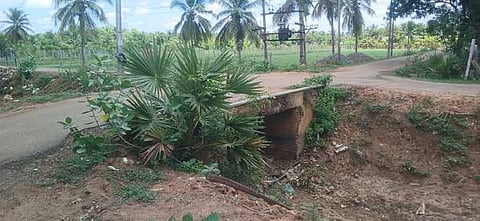 மருங்கப்பள்ளம் சிவன்கோயில் சாலையில் பக்கவாட்டு சுவா் இல்லாத வழுவிழந்த பாலம்