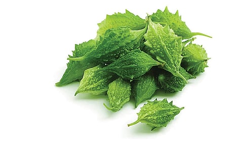 பாகற்காய் 