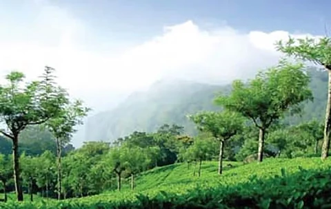 தொட்டபெட்டா (கோப்புப்படம்)
