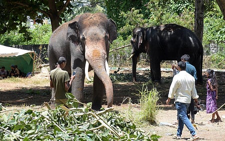 கோப்புப் படம்