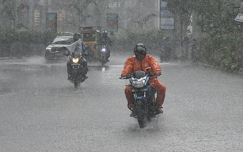 Rain