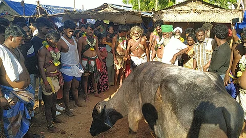 சிவகங்கை பழமலை நகர் காளி, மதுரைவீரன் கோயிலில் சனிக்கிழமை நடைபெற்ற எருமை பலியிட்டு வழிபடும் நிகழ்வில் பங்கேற்ற பக்தர்கள்.
