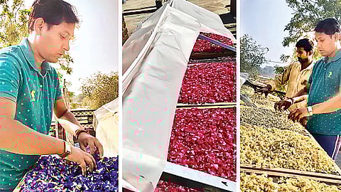 மலர்கள்