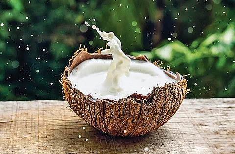 தேங்காய்ப் பால்