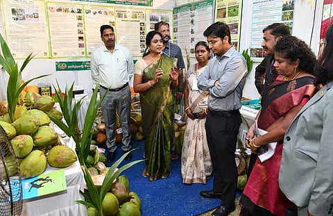 வேளாண்மைப்  பல்கலைக்கழகத்தில்  செவ்வாய்க்கிழமை தென்னை திருவிழாவைத் தொடங்கிவைத்து கண்காட்சியைப் பாா்வையிடுகிறாா் மாவட்ட ஆட்சியா் கிராந்திகுமாா் பாடி. உடன், துணைவேந்தா் வெ.கீதாலட்சுமி உள்ளிட்டோா்.