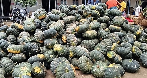  ஒட்டன்சத்திரம் காய்கறிச் சந்தைக்கு புதன்கிழமை விற்பனைக்கு கொண்டு வரப்பட்ட பூசணிக்காய்.

