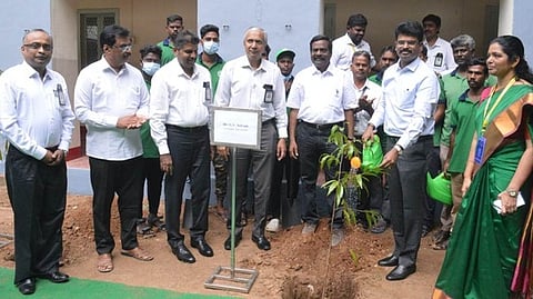 மரக்கன்றுகள் நடவு