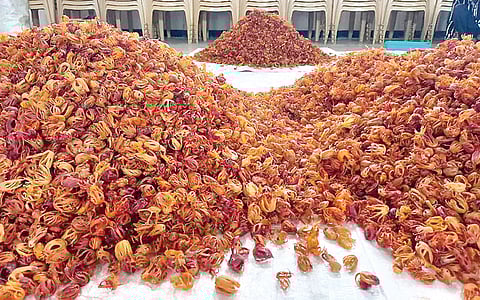 ஜாதிக்காய்கள்