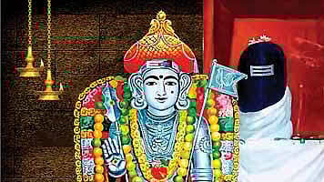 சகலமும் சண்முகமே!