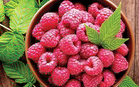 ராஸ்பரி பழம்