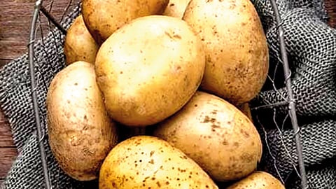 உருளைக்கிழங்கு