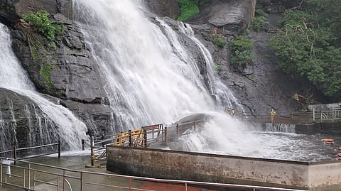 மெயின்பால்ஸ்-குற்றாலம் பேரருவியில் ஆா்ப்பரித்துக் கொட்டும் தண்ணீா்.