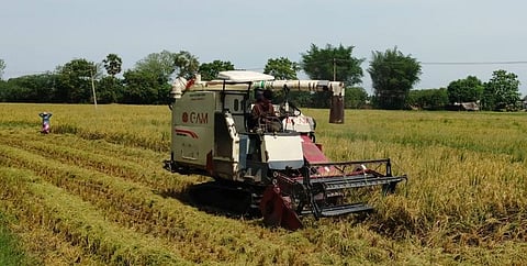 தனியாா் அறுவடை இயந்திரங்களுக்கு வாடகை: ஆட்சியா் அறிவிப்பு