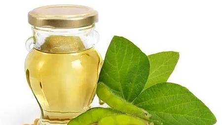 கோப்புப் படம்