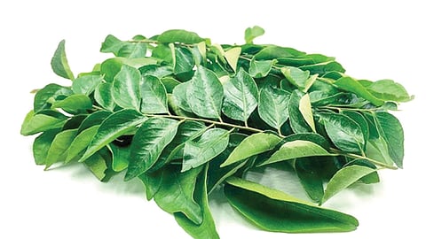 கருவேப்பிலை
