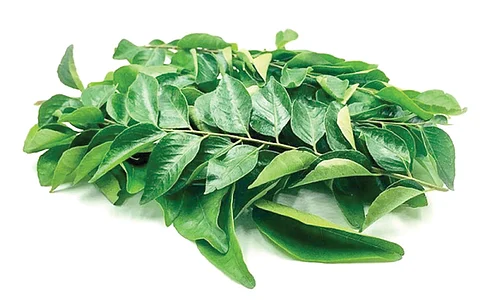 கருவேப்பிலை