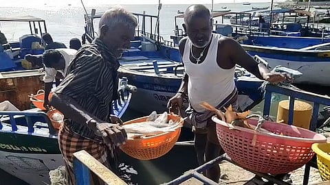 படகிலிருந்து மீன்களை இறக்கும் பணியில் ஈடுபட்ட மீனவா்கள்.