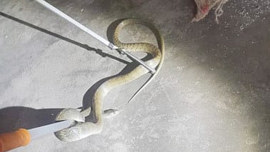 கோப்புப் படம்