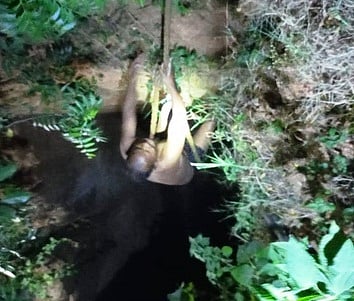 கிணற்றில் தவறி விழுந்தவரை மீட்ட தீயணைப்பு வீரா்கள்.