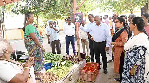 செய்யாறு: உழவா் சந்தை, பள்ளியில் ஆட்சியா் ஆய்வு