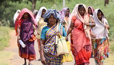 புதிய ஊரக வேலைவாய்ப்புத் திட்டத்தால் வேலைபெறுவோரின் எண்ணிக்கை குறையும்! - ஓபிஎஸ்