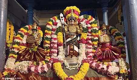 வள்ளி, தெய்வானையுடன் சிறப்பு அலங்காரத்தில் சிக்கல் சிங்காரவேலவா்.