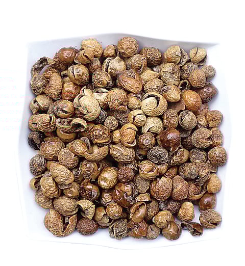 சுண்டைக்காய்