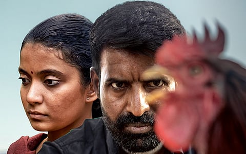 கொட்டுக்காளி 