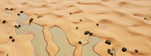 பல கொடிய விஷம் மிகுந்த ஊர்வன உயிரினங்களைக் கொண்ட உலகின் மிகவும் வறண்ட பாலைவனமாக அறியப்பட்ட சஹாரா பாலைவனத்தில் திடீர் மழையால் வெள்ளம் ஏற்பட்டுள்ளது.