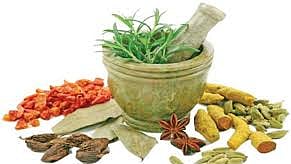 கோப்புப் படம் 