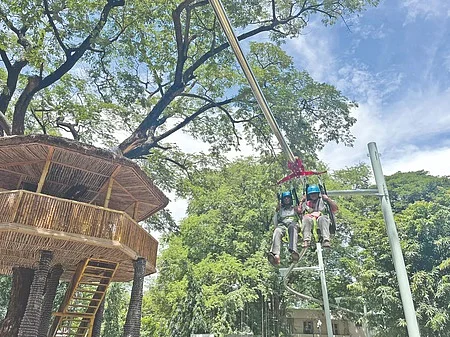 கலைஞர் பூங்கா