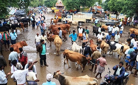 பொய்கை சந்தை.