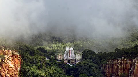 ஏழுமலையான் தரிசனம்: 
8 மணி நேரம் காத்திருப்பு