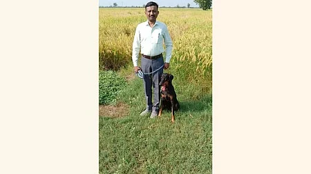 கொள்ளையடிக்கப்பட்ட ரூ.1 கோடியை கண்டுபிடித்த மொப்ப நாய் ‘பென்னி’