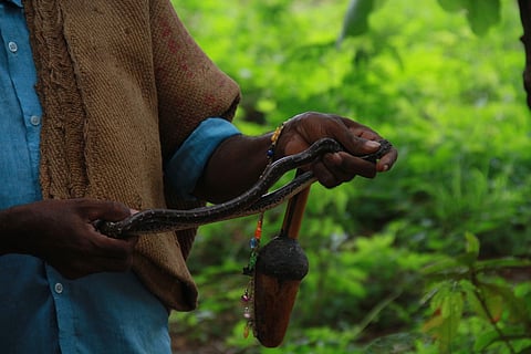 கோப்புப் படம்