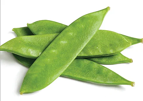 அவரைக்காய்