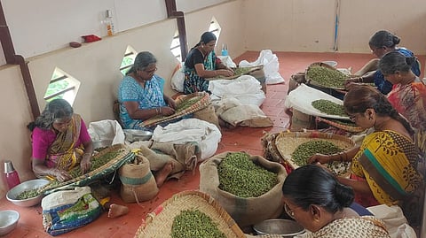 ஏலக்காய் விலை அதிகரிப்பு: விவசாயிகள், வியாபாரிகள் மகிழ்ச்சி