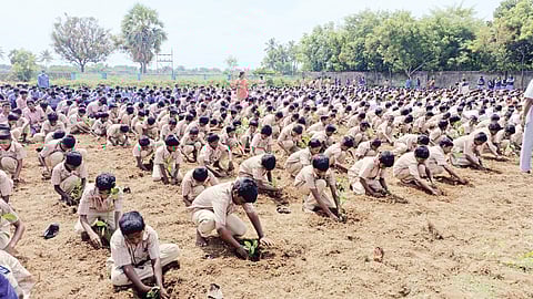மரக்கன்று நடும் மாணவர்கள்