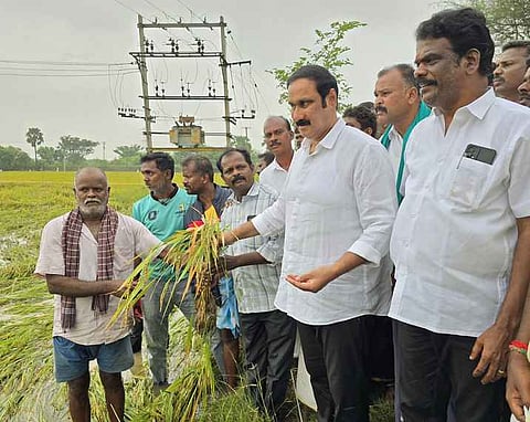 திண்டிவனம் அடுத்த ரெட்டணையில் மழையால் பாதிக்கப்பட்ட நெல் பயிரை பாா்வையிட்டு பாதிப்புகள் குறித்து கேட்டறிந்த அன்புமணி ராமதாஸ்.