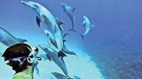 கொமொரோஸ்