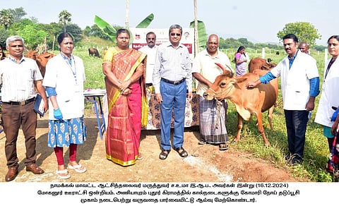 கோமாரி நோய் தடுப்பூசி முகாம் தொடக்கம்