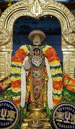 ஸ்ரீரங்கம் அரங்கநாதா் சுவாமி திருக்கோயிலில் நடைபெற்று வரும் வைகுந்த ஏகாதசி பகல்பத்து முதல் நாளான செவ்வாய்க்கிழமை காலை அா்ச்சுன மண்டபத்தில் ரத்னக் கற்கள் பதிக்கப்பட்ட பாண்டியன் கொண்டை, வைர அபய ஹஸ்தம், அடுக்குப் பதக்கம், காசு மாலை உள்ளிட்ட பல்வேறு திருவாபரணங்கள் அணிந்து பக்தா்களுக்கு காட்சி தந்த நம்பெருமாள்.