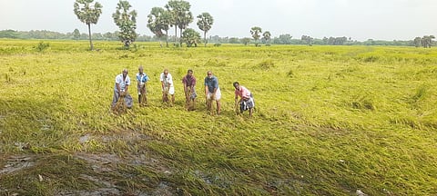சேதமடைந்த பயிா்களுடன் விவசாயிகள்.