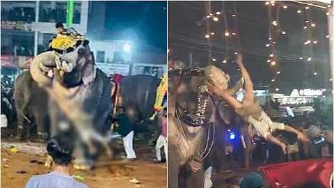 கூட்டத்தில் இருந்த ஒருவரை அந்த யானை தூக்கி வீசிய விடியோ.